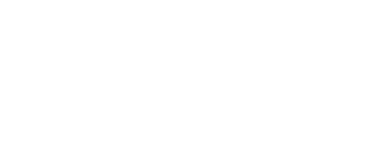 dcs-logo-w